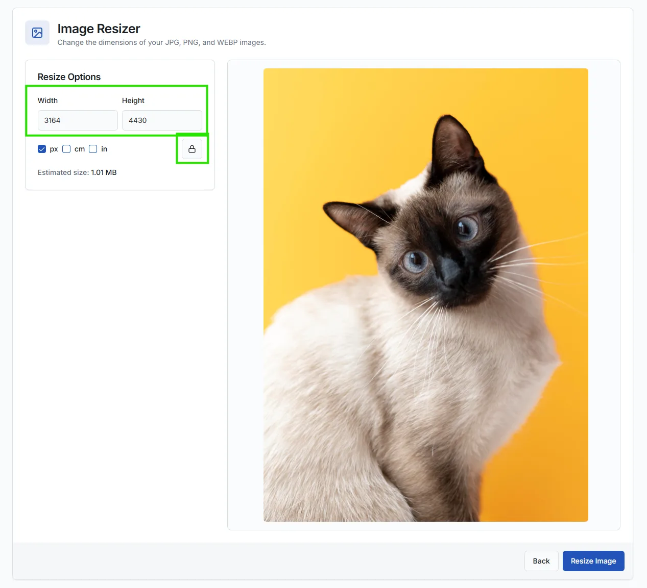 Entering new width and height dimensions to resize a photo.