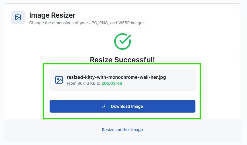 Downloading the resized image file after successful conversion.