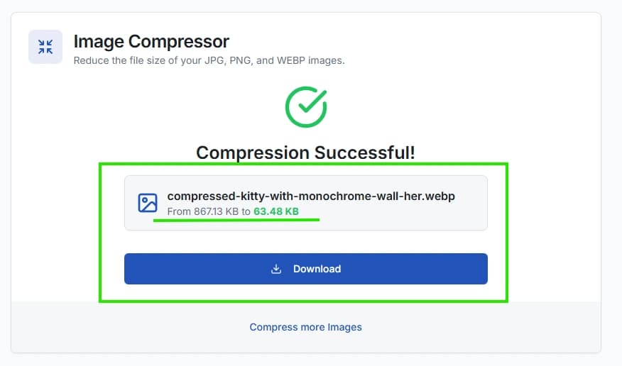 Downloading the compressed image file.